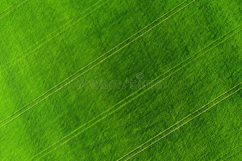 Groen gebiedssatellietbeeld als achtergrond Landbouwweide van hierboven De zomer landbouwgebieden stock afbeelding Groen gebiedssatellietbeeld als achtergrond Landbouwweide van hierboven De zomer landbouwgebieden stock afbeelding