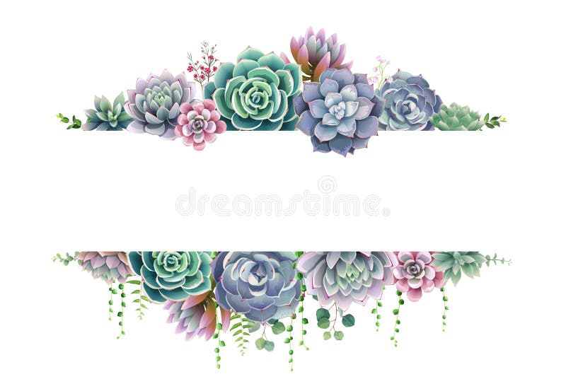 Groen, succulente en takkenkadergrens op witte achtergrond Het mooie malplaatje voor nodigt of de groetkaart, banner uit allen Groen, succulente en takkenkadergrens op witte achtergrond Het mooie malplaatje voor nodigt of de groetkaart, banner uit allen