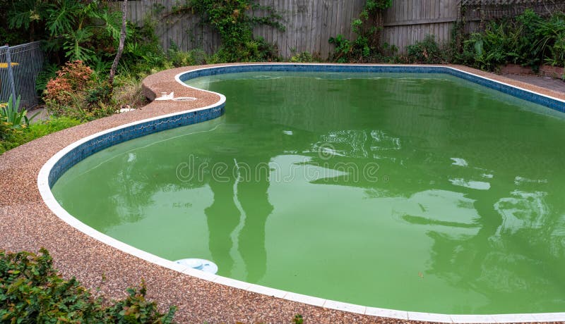 Groen vuil zwembad water in een voorstedelijke achtertuin