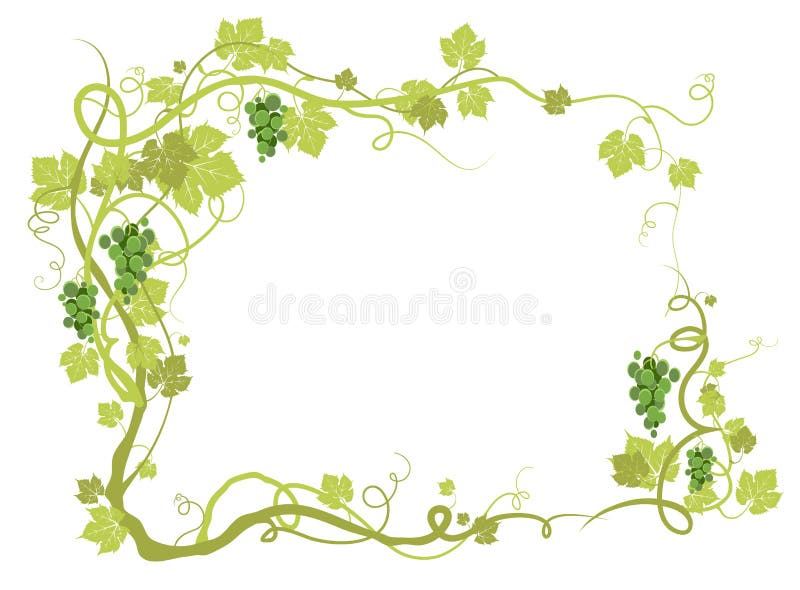 Groen wijngaardframe vector illustratie Groen wijngaardframe vector illustratie