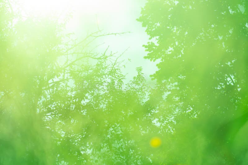 Groene achtergrond met kleurrijke blauwdruk. groene abstracte vertroebeling van focus-schaduwachtergrond stock fotografie Groene achtergrond met kleurrijke blauwdruk. groene abstracte vertroebeling van focus-schaduwachtergrond stock fotografie