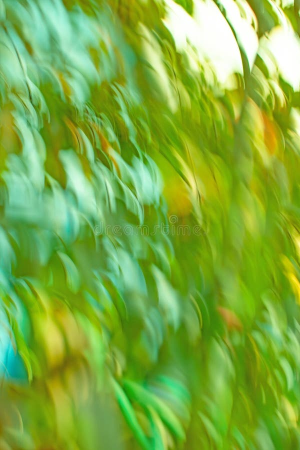 Groene achtergrond met kleurrijke blauwdruk. groene abstracte vertroebeling van focus-schaduwachtergrond royalty-vrije stock foto's Groene achtergrond met kleurrijke blauwdruk. groene abstracte vertroebeling van focus-schaduwachtergrond royalty-vrije stock foto's