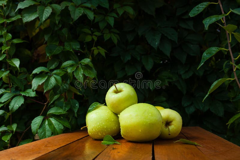Groene appel in het dorp royalty-vrije stock foto Groene appel in het dorp royalty-vrije stock foto