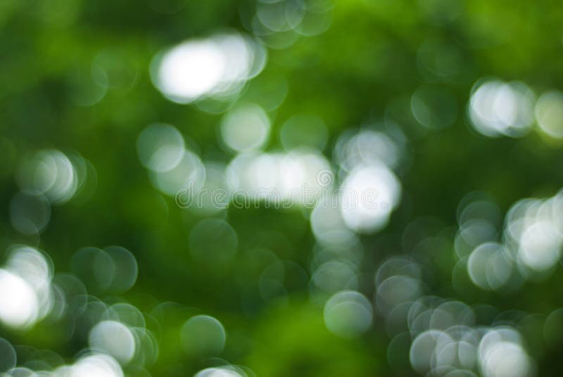 Groene Bokeh-Achtergrond, Groene Bomen Bokeh, de Abstracte de Zomerlente Sunny Texture royalty-vrije stock afbeelding Groene Bokeh-Achtergrond, Groene Bomen Bokeh, de Abstracte de Zomerlente Sunny Texture royalty-vrije stock afbeelding