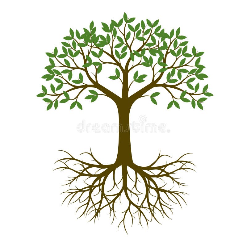 Groene de Lenteboom met Wortel Vector illustratie royalty-vrije illustratie Groene de Lenteboom met Wortel Vector illustratie royalty-vrije illustratie