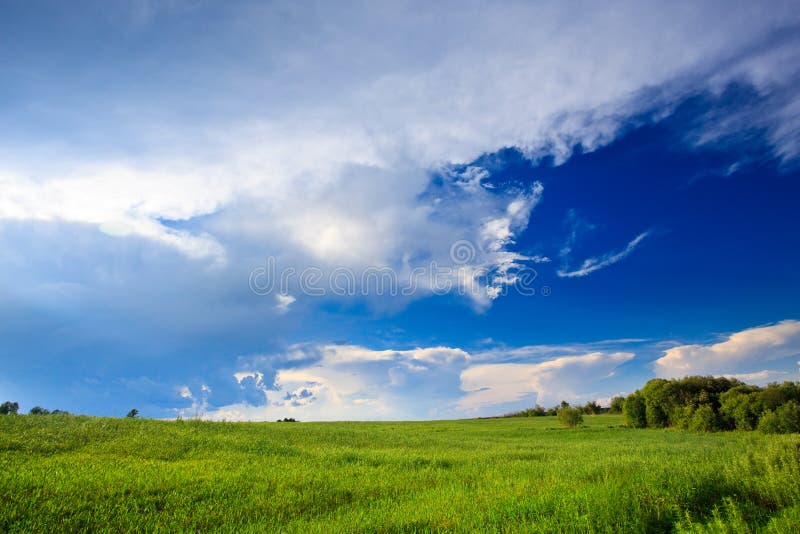 Groene gras blauwe hemelen