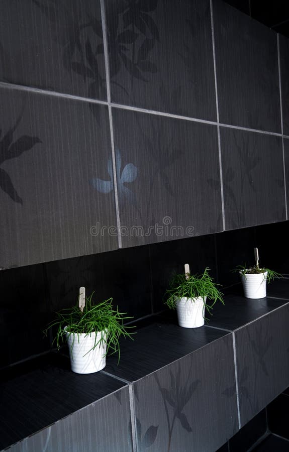 Groene installaties in betegelde badkamers royalty-vrije stock fotografie Groene installaties in betegelde badkamers royalty-vrije stock fotografie