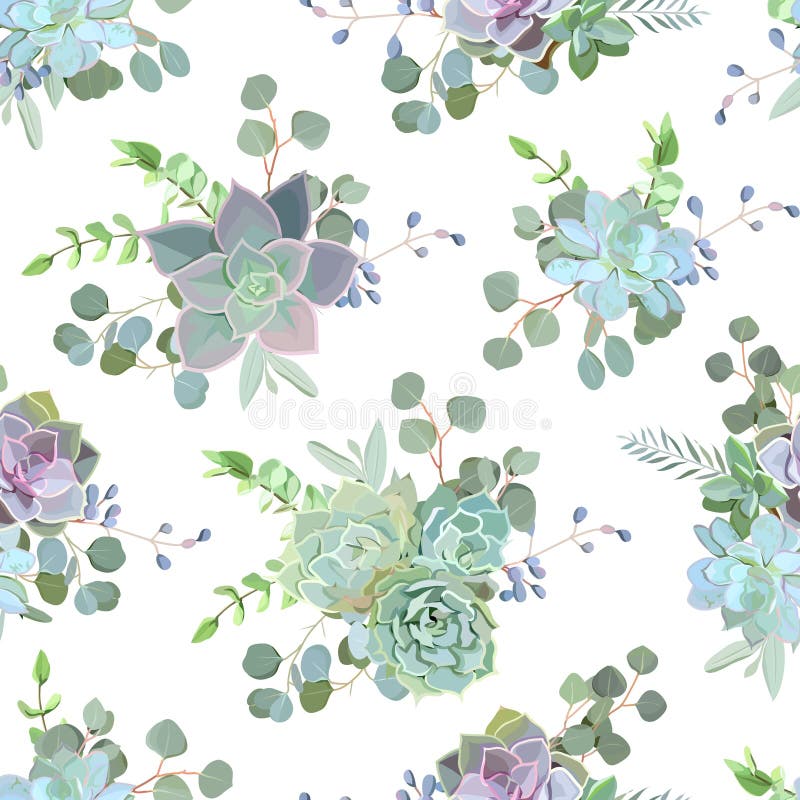 Groene kleurrijke succulente naadloze vector het ontwerpdruk van Echeveria stock illustratie Groene kleurrijke succulente naadloze vector het ontwerpdruk van Echeveria stock illustratie