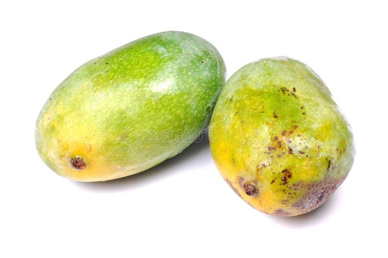 Groene mango's royalty-vrije stock foto