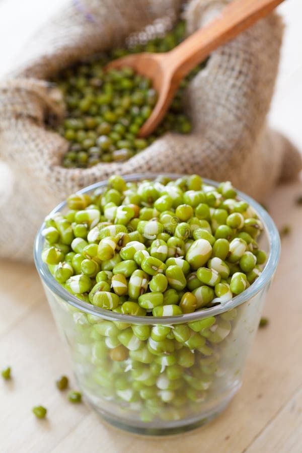 Groene mung taugé in kom en jutezak met zaden royalty-vrije stock fotografie Groene mung taugé in kom en jutezak met zaden royalty-vrije stock fotografie