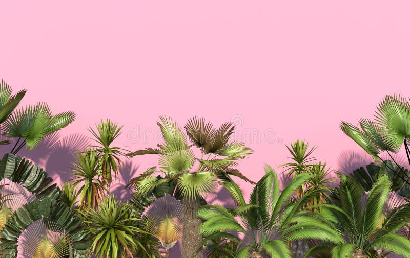 Groene palmen en tropische uitheemse gewassen op een roze achtergrond met exemplaarruimte Conceptuele creatieve illustratie het 3 stock illustratie Groene palmen en tropische uitheemse gewassen op een roze achtergrond met exemplaarruimte Conceptuele creatieve illustratie het 3 stock illustratie