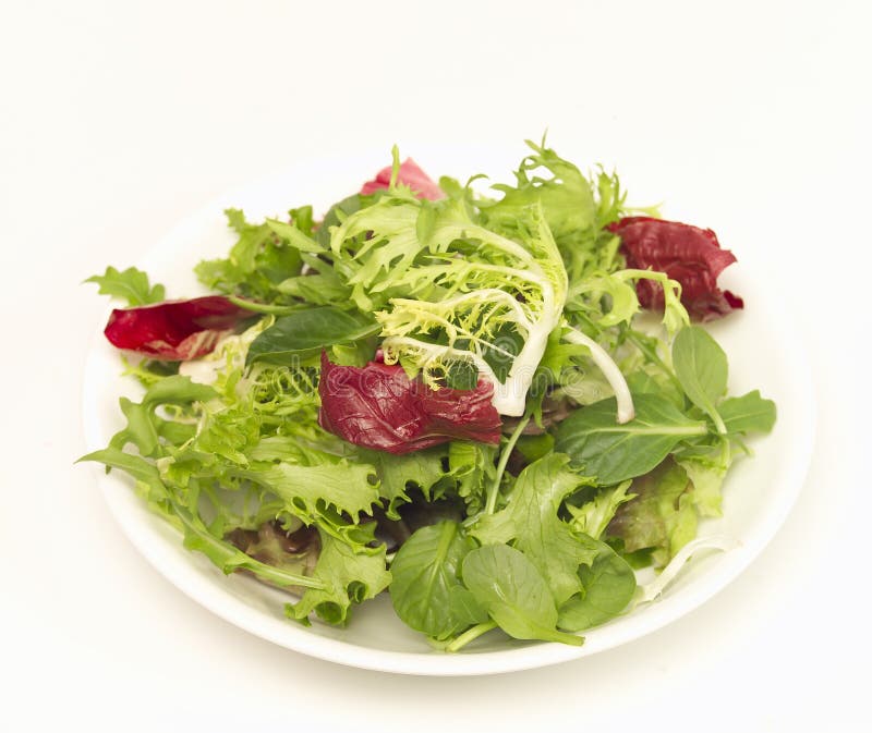 Groene salade royalty-vrije stock afbeeldingen Groene salade royalty-vrije stock afbeeldingen
