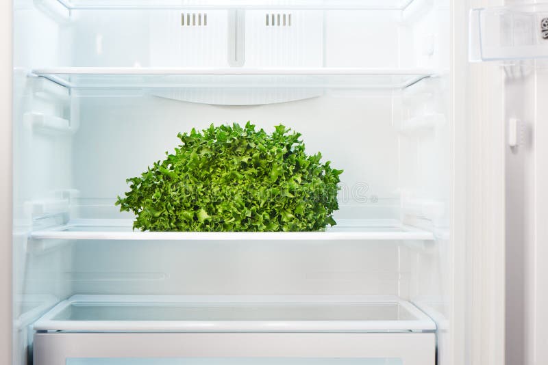 Groene salade op plank van open lege ijskast stock foto Groene salade op plank van open lege ijskast stock foto