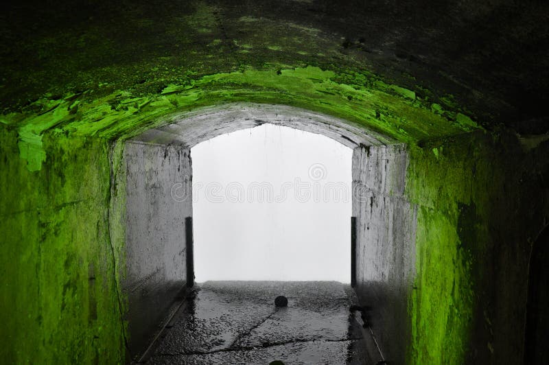 Groene Tunnel royalty-vrije stock afbeeldingen Groene Tunnel royalty-vrije stock afbeeldingen