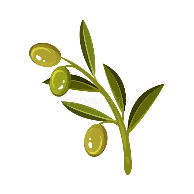 Groene twijg met drie vers olijven en gebladerte Zonnebloemzaden - zaadfonds Botanisch Thema Vlak vectorontwerp stock illustratie Groene twijg met drie vers olijven en gebladerte Zonnebloemzaden - zaadfonds Botanisch Thema Vlak vectorontwerp stock illustratie
