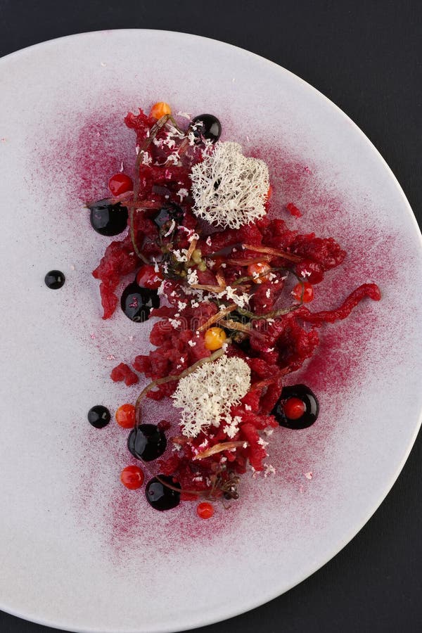 Groenten met saus, haute keuken, gastronomisch voorgerecht stock fotografie Groenten met saus, haute keuken, gastronomisch voorgerecht stock fotografie