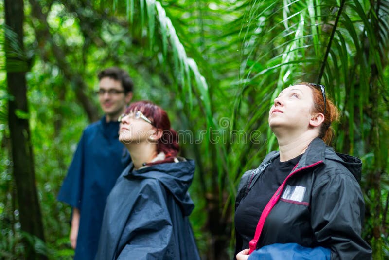 Groep die Toerist in de Wildernis wandelen royalty-vrije stock foto Groep die Toerist in de Wildernis wandelen royalty-vrije stock foto