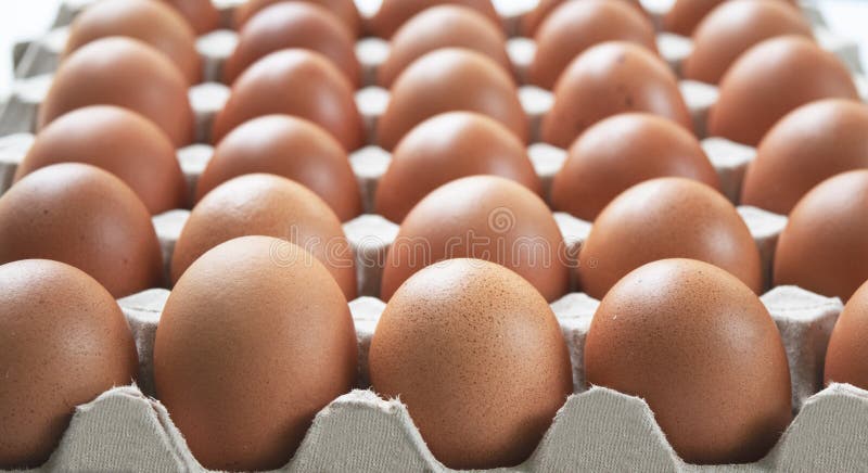 Groep eierenkip op het document vakje, markt verpakking, natuurvoeding voor iedereen voor gezond lichaam dagelijks te eten stock foto's Groep eierenkip op het document vakje, markt verpakking, natuurvoeding voor iedereen voor gezond lichaam dagelijks te eten stock foto's