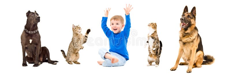 Groep speelse huisdieren en gelukkig kind samen stock afbeelding Groep speelse huisdieren en gelukkig kind samen stock afbeelding