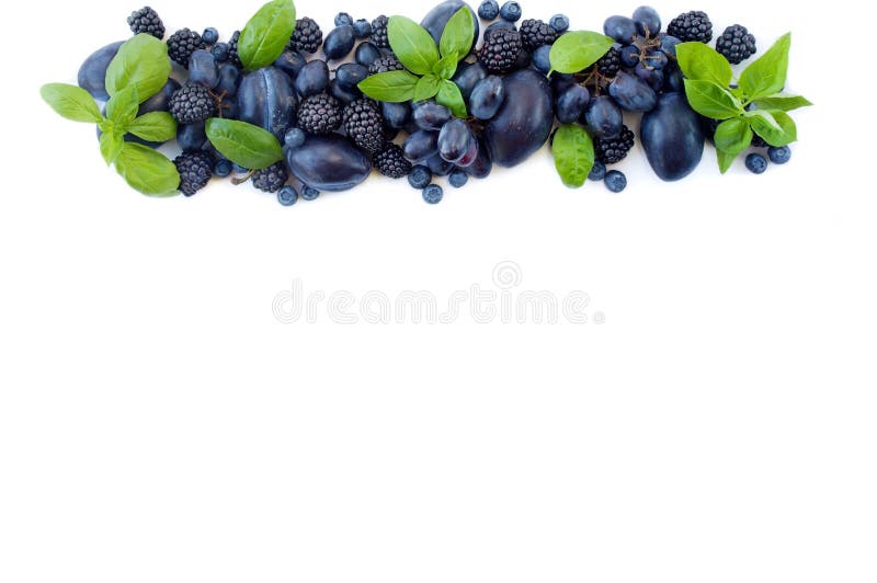 Groep verse vruchten en bessen met basilicum ` s Rijpe bosbessen, druiven, pruimen en braambessen royalty-vrije stock foto Groep verse vruchten en bessen met basilicum ` s Rijpe bosbessen, druiven, pruimen en braambessen royalty-vrije stock foto