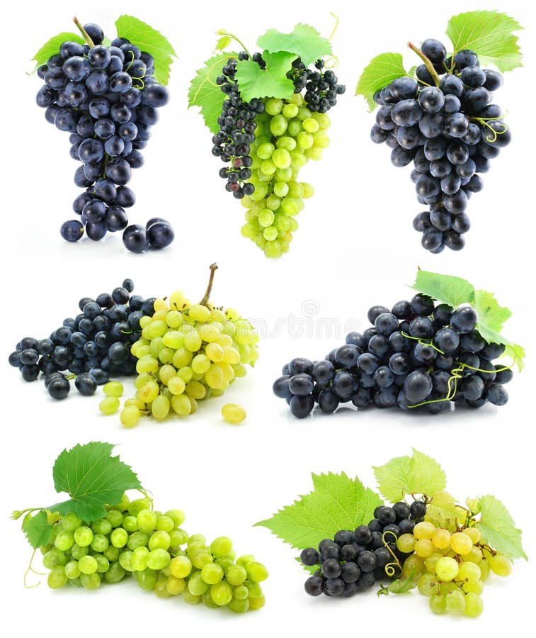Grona kolekci owoc winogrona odosobniony dojrzały