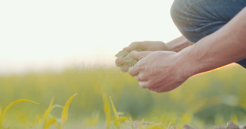 Grond, landbouw die, landbouwershanden en achter organische grond houden gieten