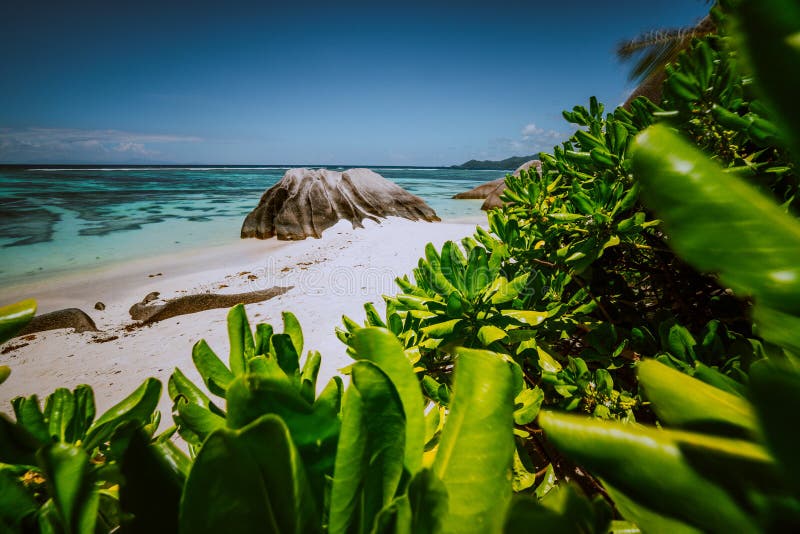 Beautifully shaped granite boulder framed with green leaves at Anse Source d&#x27;Argent beach, La Digue island, Seychelles. Beautifully shaped granite boulder framed with green leaves at Anse Source d&#x27;Argent beach, La Digue island, Seychelles.