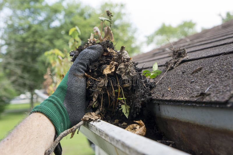 Cleaning gutters during the summer time. Cleaning gutters during the summer time.