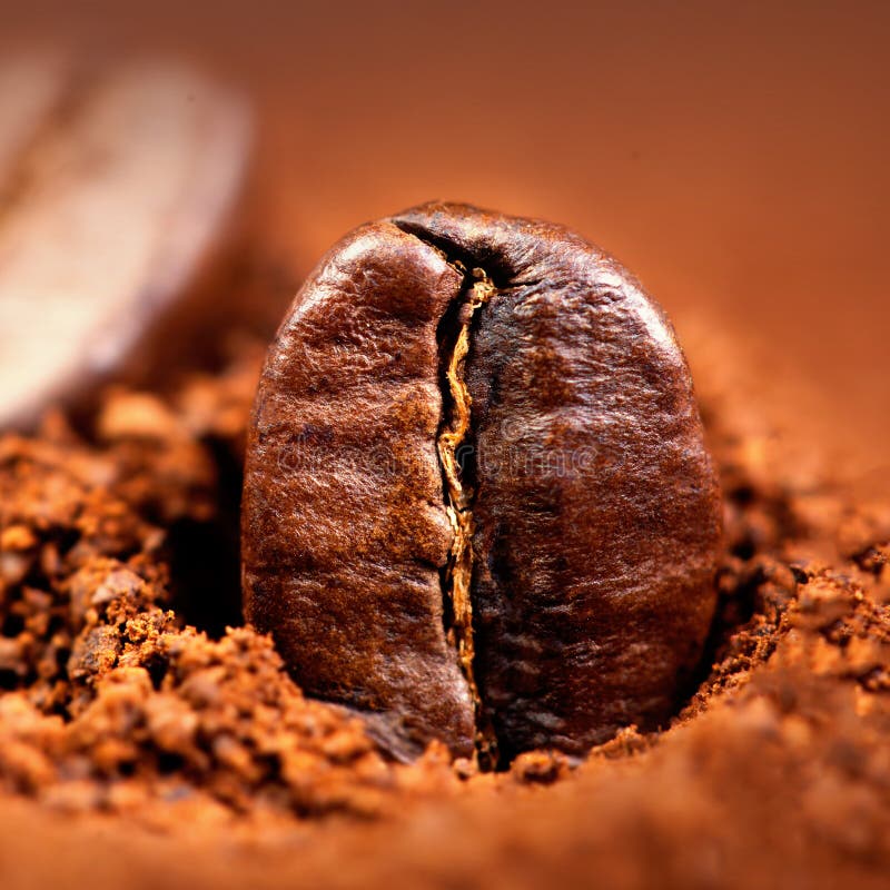 Grondkoffie met Geroosterde Koffiebonen, copyspace Espresso T stock afbeelding Grondkoffie met Geroosterde Koffiebonen, copyspace Espresso T stock afbeelding