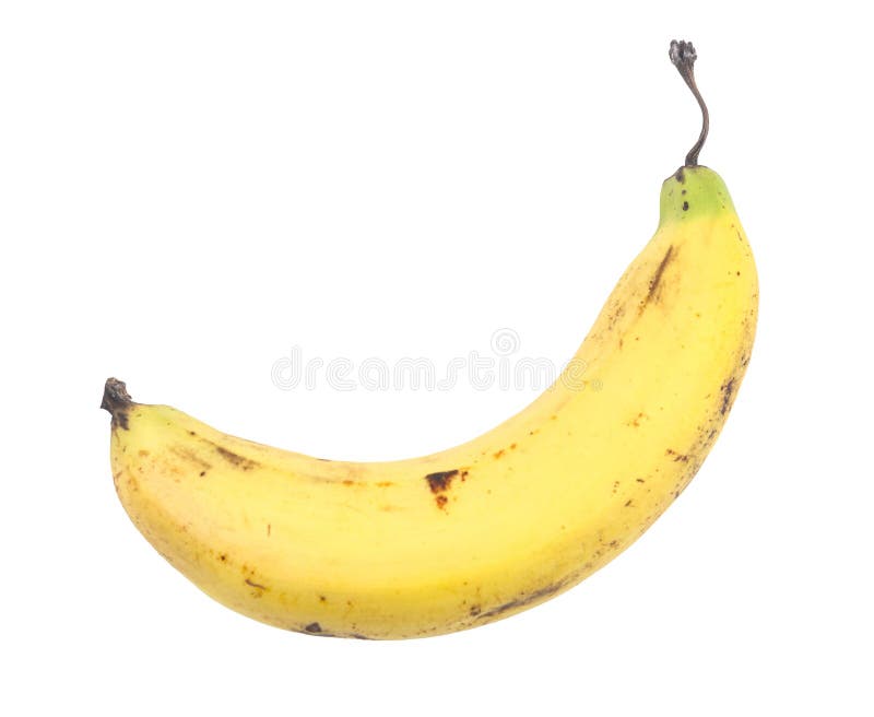 Grono dojrzałych bananów żółtych zdrowych owoców tropikalnych royalty ilustracja