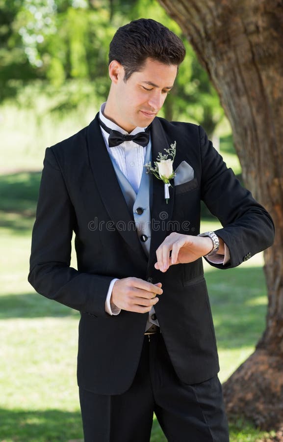 Groom Gets Corsage stock image. Image of care, ties, romantic - 44585