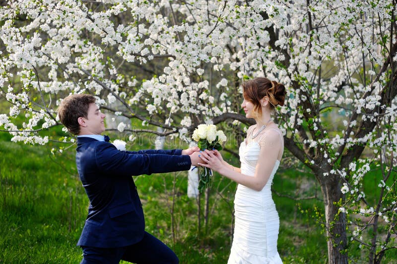Groom gives the bride a beautiful wedding bouquet of roses stock photo Groom gives the bride a beautiful wedding bouquet of roses stock photo