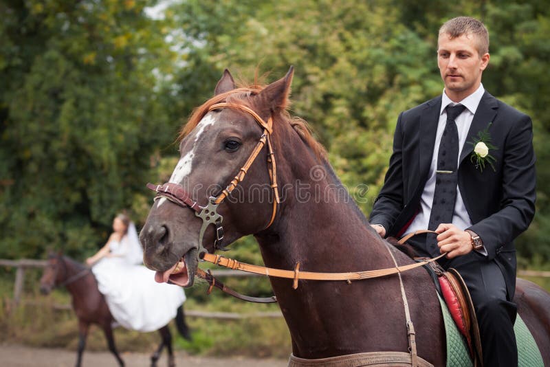 Groom on horse stock photo. Image of fashion, cheerful 44863538