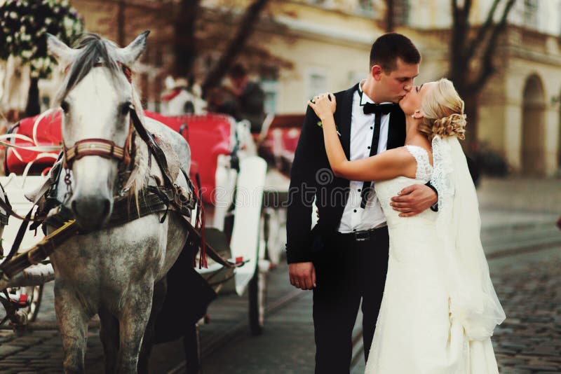 Groom kisses a bride behind a carriage royalty free stock photography Groom kisses a bride behind a carriage royalty free stock photography