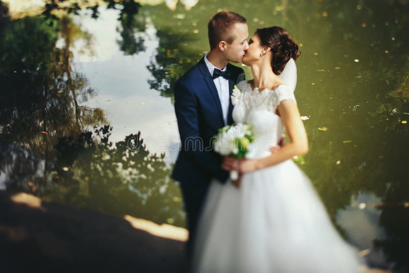 Groom kisses a bride standing on the lake shore stock photos