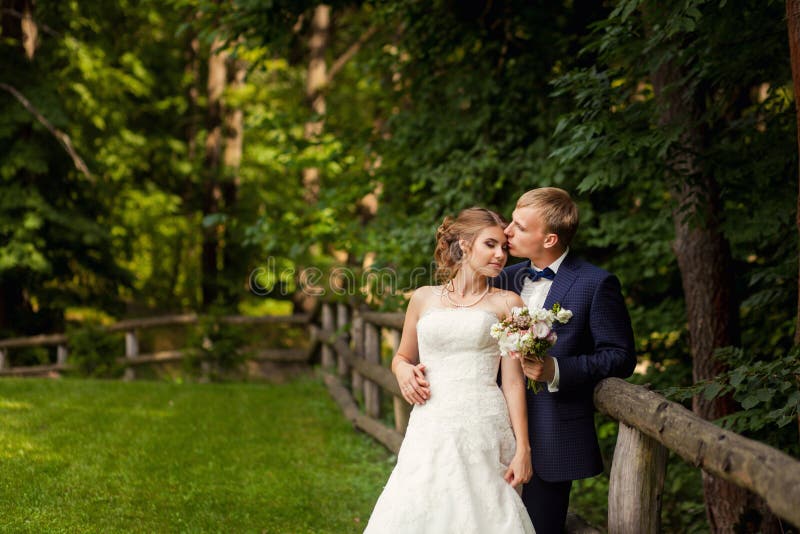 Groom Kissing Bride Near Fence Wood Stock Photos - Free & Royalty-Free ...