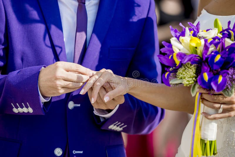 Groom is Putting the Wedding Ring on Bride S Finger Stock Photo Image