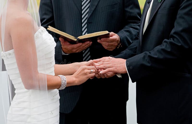 Groom невесты стоковые изображения