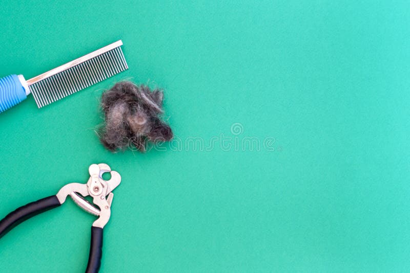 Grooming tools comb, scissors for nails and a piece of pet hair, flat lay. Space for text. Grooming concept royalty free stock images