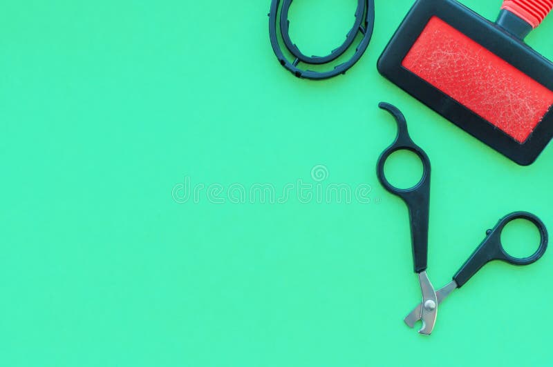 green collar grooming