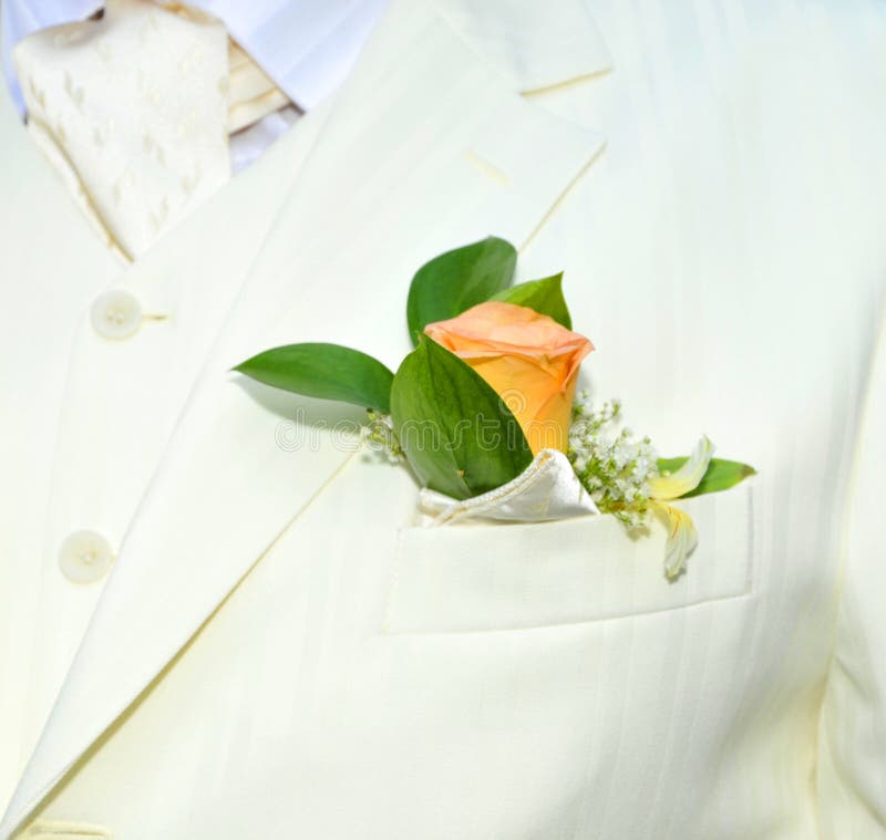 Luxurious groom's wedding suit with a flower boutonniere. Luxurious groom's wedding suit with a flower boutonniere