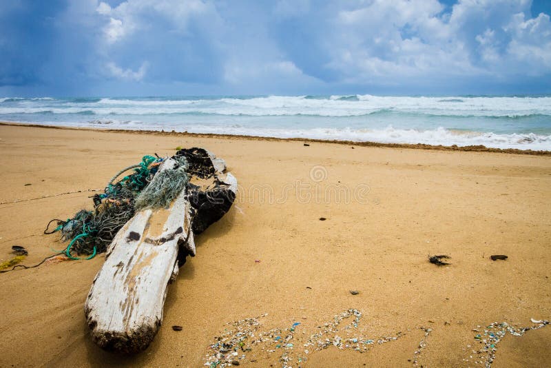 Groot die drijfhout met kabels op Kuaui-strand met bewolkte hemel en roiling oceaan op achtergrond wordt verward stock foto's Groot die drijfhout met kabels op Kuaui-strand met bewolkte hemel en roiling oceaan op achtergrond wordt verward stock foto's