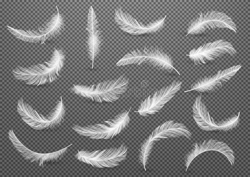 Big Set of White Realistic Different Fluffy Twirled Falling Feathers Isolated on Transparency Grid Background. Design Template. Vector illustrtion. Big Set of White Realistic Different Fluffy Twirled Falling Feathers Isolated on Transparency Grid Background. Design Template. Vector illustrtion