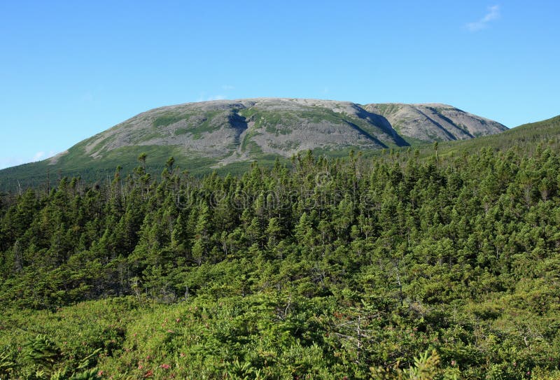 Gros Morne Mountain royalty free stock photography Gros Morne Mountain royalty free stock photography