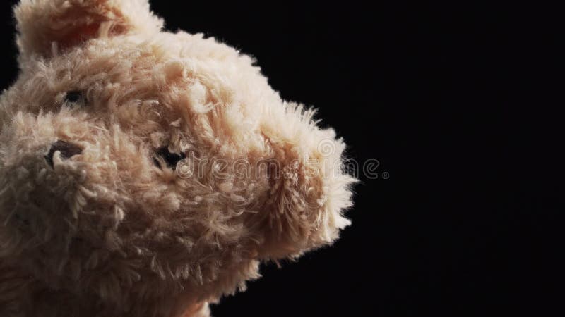 Gros plan brun joli ours en peluche sur fond noir clips vidéos