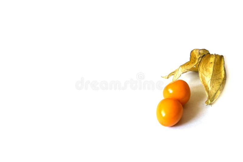 Groselha de cabo no fundo branco fotos de stock royalty free Groselha de cabo no fundo branco fotos de stock royalty free