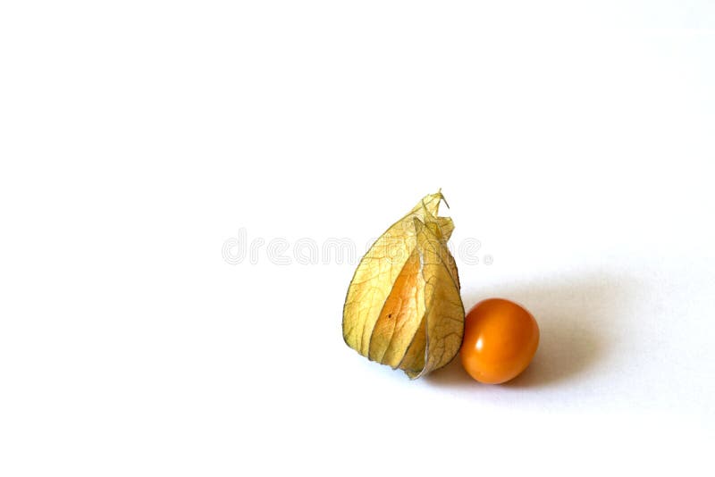Groselha de cabo no fundo branco fotos de stock royalty free Groselha de cabo no fundo branco fotos de stock royalty free