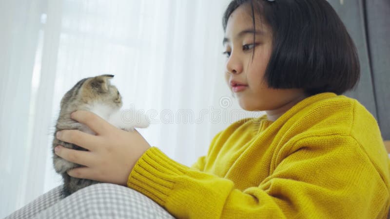 Grosse fille asiatique jouant avec un chaton mignon