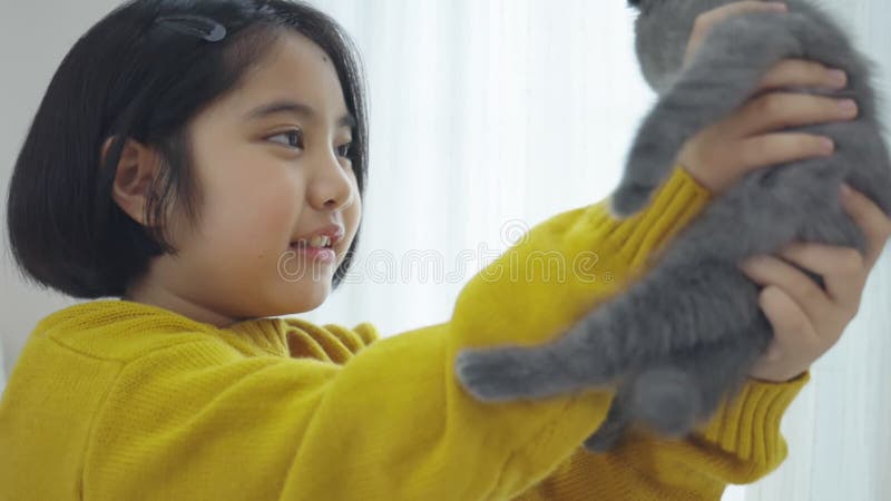 Grosse fille asiatique jouant avec un chaton mignon, jolie fille tenant un chat de près banque de vidéos