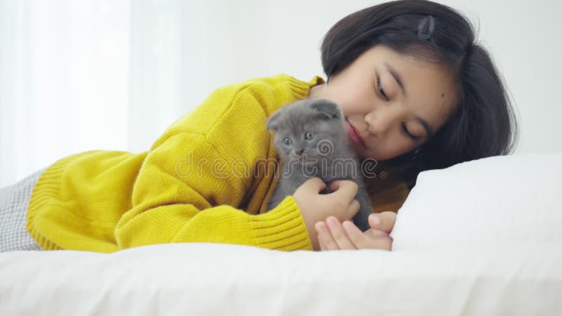 Grosse fille asiatique jouant avec un chaton mignon, jolie fille tenant un chat de près banque de vidéos